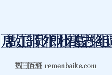 唐故工部员外郎杜君墓志铭组词是什么意思的图片